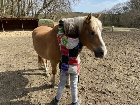 Lukas Nagi Tanka, Haflinger